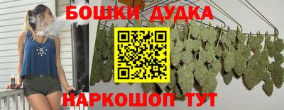сатива Заводоуковск