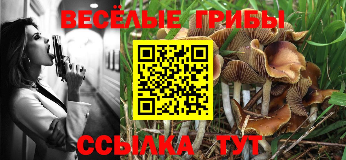Псилоцибиновые грибы мицелий Заволжье